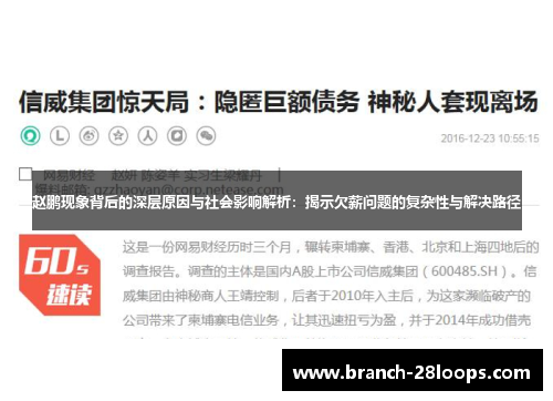 赵鹏现象背后的深层原因与社会影响解析:揭示欠薪问题的复杂性与解决路径 赵鹏现象背后的深层原因与社会影响解析:揭示欠薪问题的复杂性与解决路径