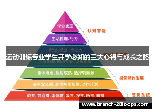 运动训练专业学生开学必知的三大心得与成长之路