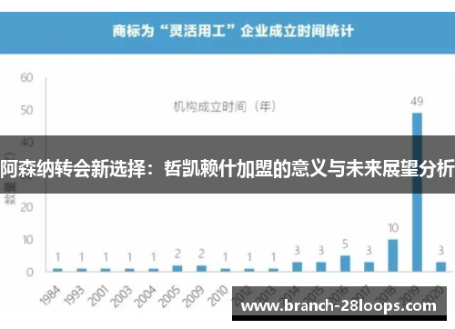阿森纳转会新选择:哲凯赖什加盟的意义与未来展望分析 阿森纳转会新选择:哲凯赖什加盟的意义与未来展望分析