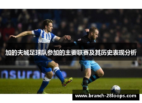 加的夫城足球队参加的主要联赛及其历史表现分析 加的夫城足球队参加的主要联赛及其历史表现分析