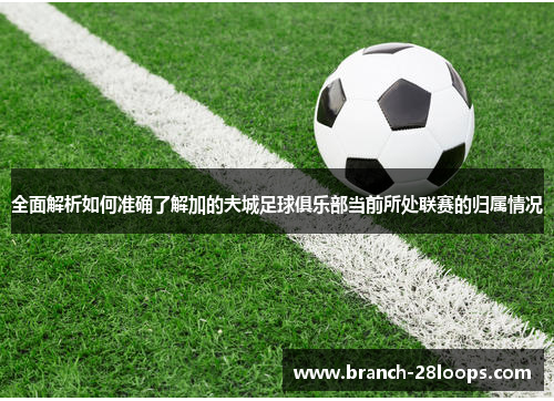 全面解析如何准确了解加的夫城足球俱乐部当前所处联赛的归属情况 全面解析如何准确了解加的夫城足球俱乐部当前所处联赛的归属情况