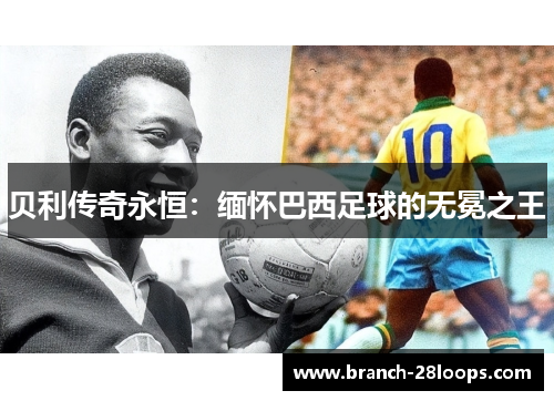 贝利传奇永恒：缅怀巴西足球的无冕之王