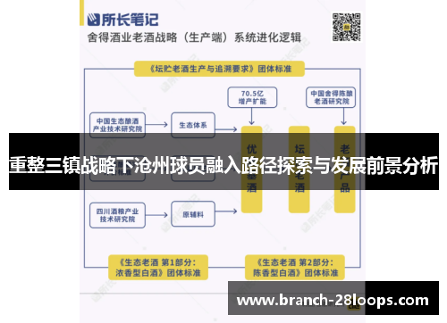 重整三镇战略下沧州球员融入路径探索与发展前景分析