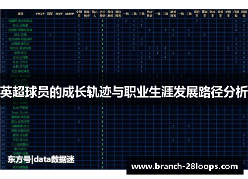 英超球员的成长轨迹与职业生涯发展路径分析 英超球员的成长轨迹与职业生涯发展路径分析