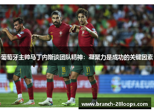 葡萄牙主帅马丁内斯谈团队精神:凝聚力是成功的关键因素 葡萄牙主帅马丁内斯谈团队精神:凝聚力是成功的关键因素