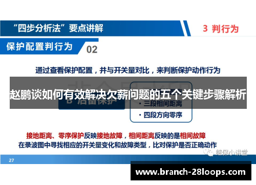赵鹏谈如何有效解决欠薪问题的五个关键步骤解析