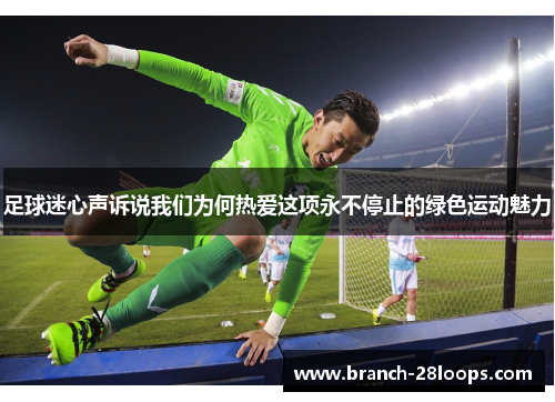 足球迷心声诉说我们为何热爱这项永不停止的绿色运动魅力