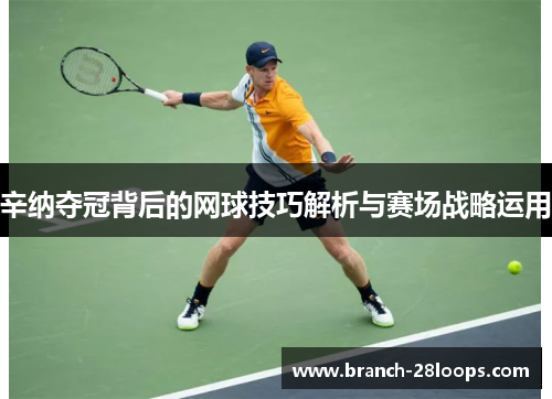 辛纳夺冠背后的网球技巧解析与赛场战略运用