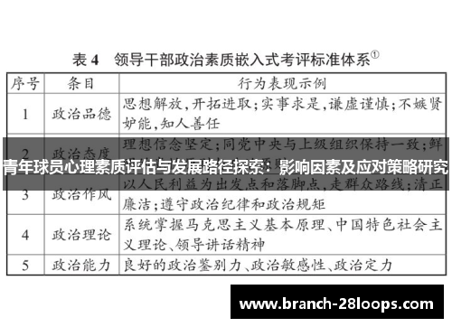 青年球员心理素质评估与发展路径探索：影响因素及应对策略研究