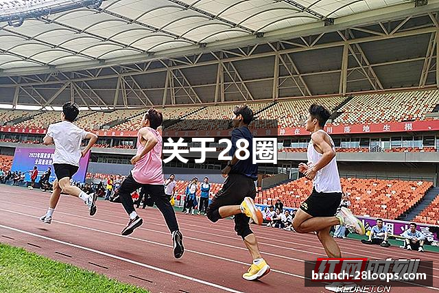 关于28圈